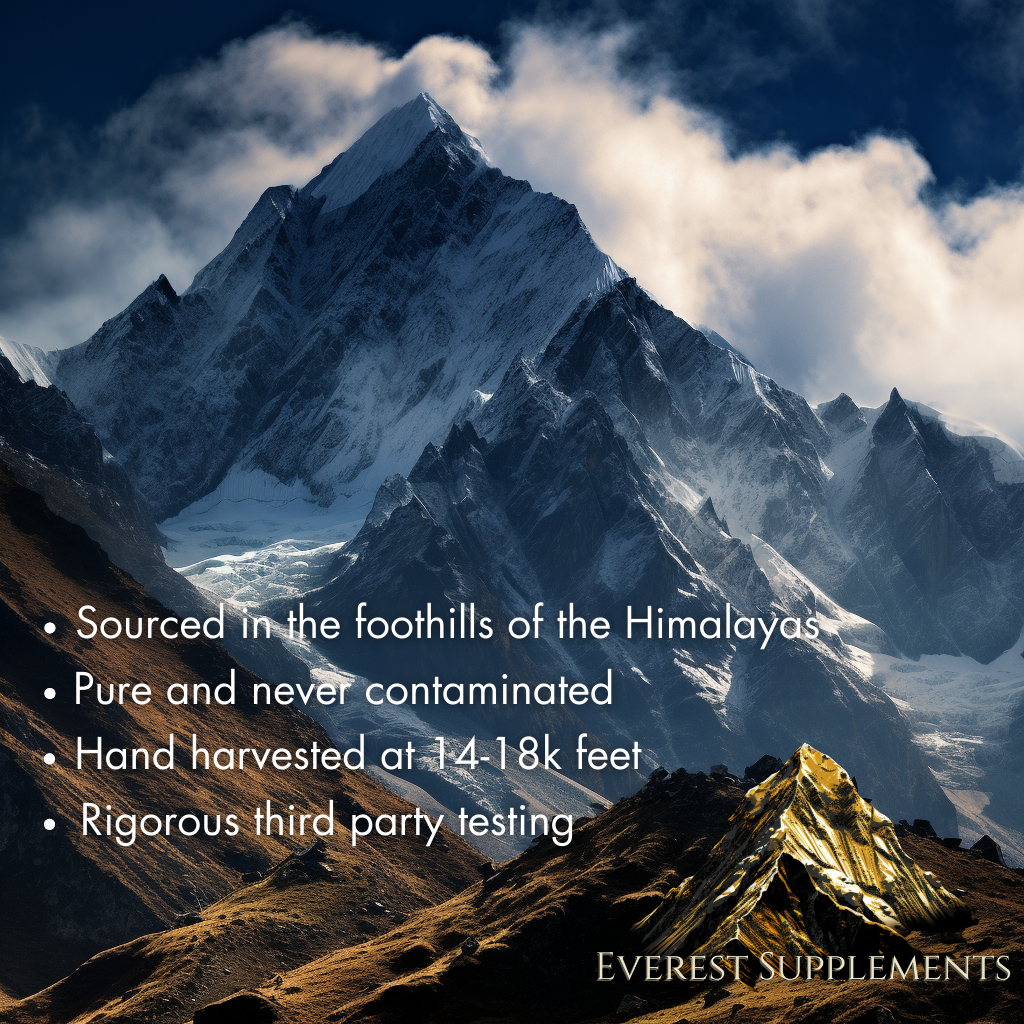Everest Supplements™ Organic Himalayan Shilajit | Free Shipping