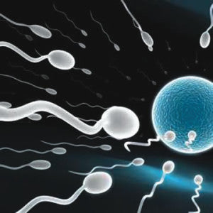 How Shilajit Can Boost Male Fertility